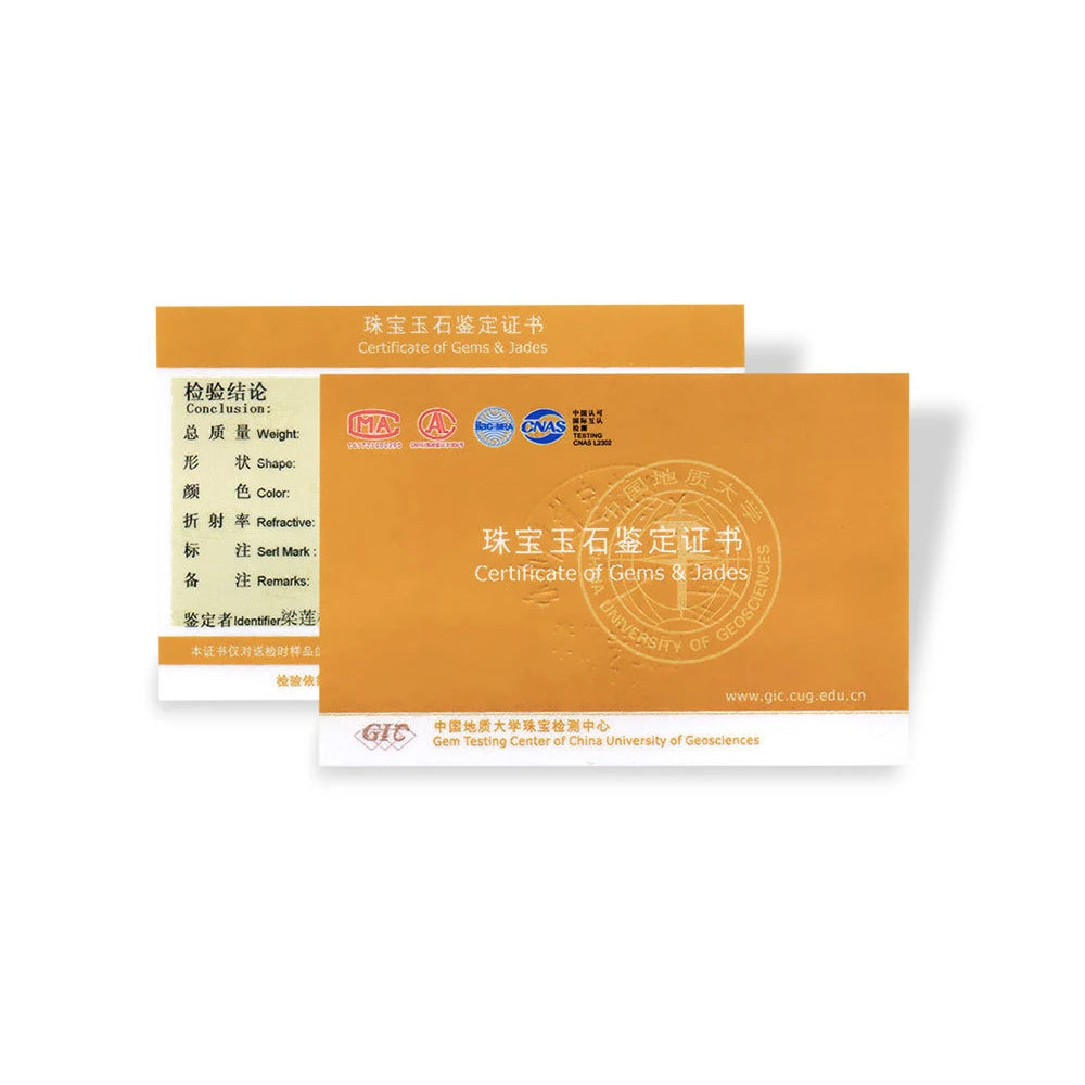 CANNER 0.5-1.2 Carat D Color Moissanite Ear Stud Earrings For Women 925 Sterling Silver Sparkling Piercing Earring Fine Jewelry